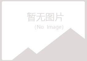 宁夏山柏服务有限公司